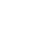 logo-rsf-06.png